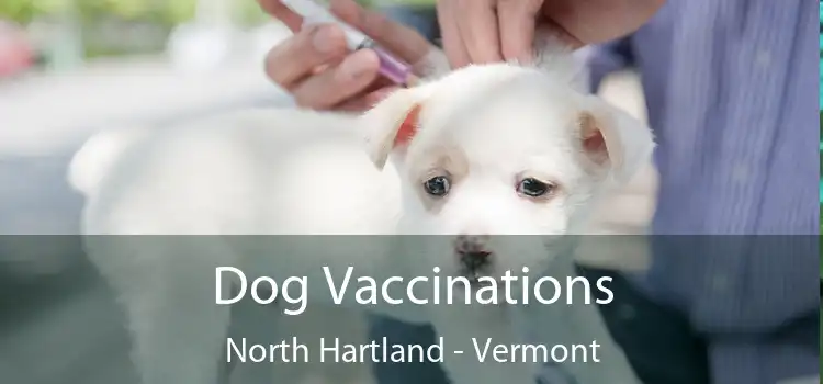 Dog Vaccinations North Hartland - Vermont