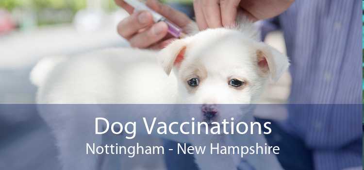 Dog Vaccinations Nottingham - New Hampshire