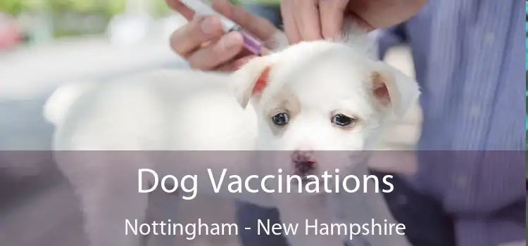Dog Vaccinations Nottingham - New Hampshire