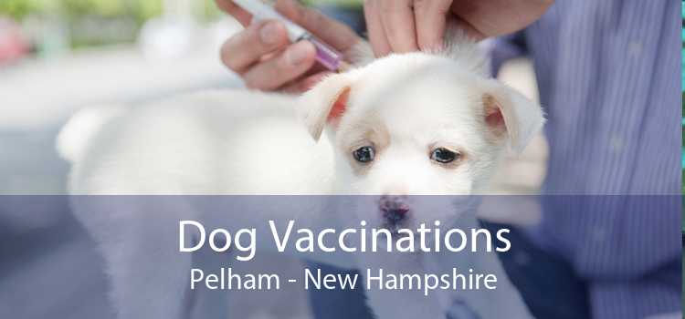 Dog Vaccinations Pelham - New Hampshire
