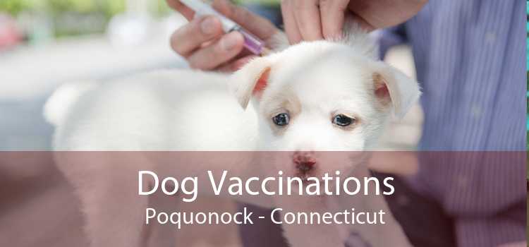 Dog Vaccinations Poquonock - Connecticut