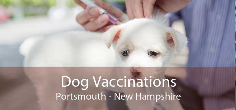 Dog Vaccinations Portsmouth - New Hampshire