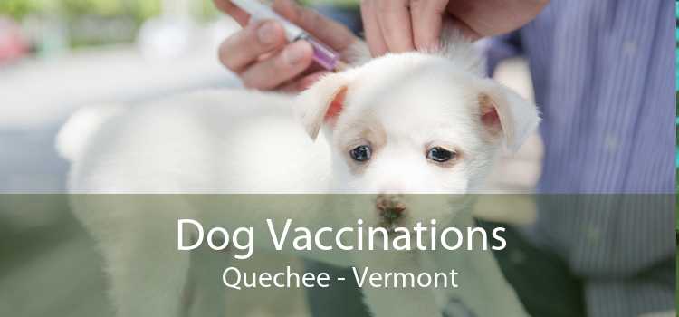 Dog Vaccinations Quechee - Vermont