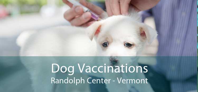 Dog Vaccinations Randolph Center - Vermont
