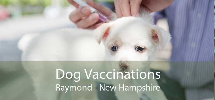 Dog Vaccinations Raymond - New Hampshire