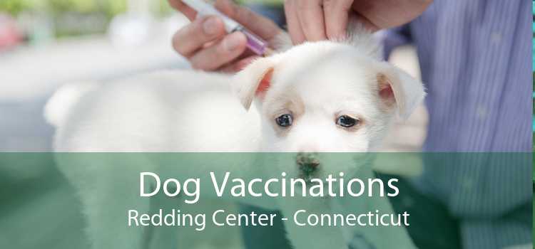 Dog Vaccinations Redding Center - Connecticut