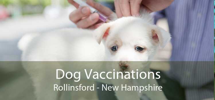 Dog Vaccinations Rollinsford - New Hampshire