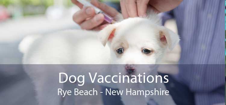 Dog Vaccinations Rye Beach - New Hampshire