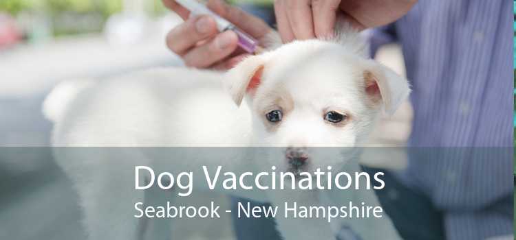 Dog Vaccinations Seabrook - New Hampshire
