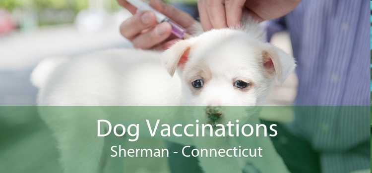 Dog Vaccinations Sherman - Connecticut