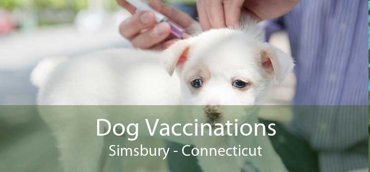 Dog Vaccinations Simsbury - Connecticut