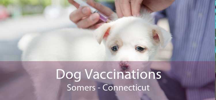 Dog Vaccinations Somers - Connecticut