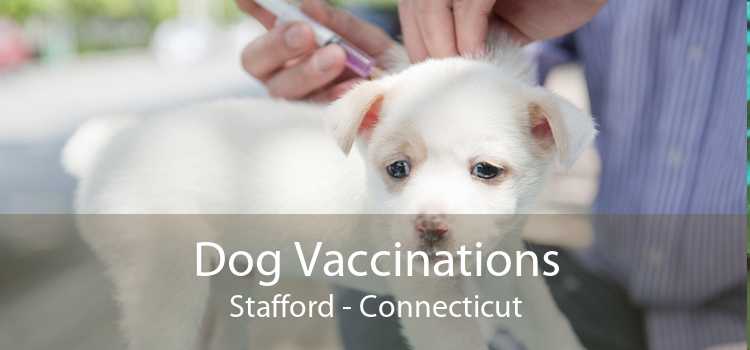 Dog Vaccinations Stafford - Connecticut