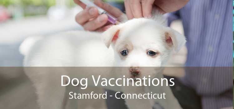 Dog Vaccinations Stamford - Connecticut