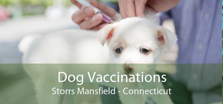 Dog Vaccinations Storrs Mansfield - Connecticut