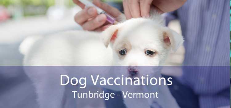 Dog Vaccinations Tunbridge - Vermont