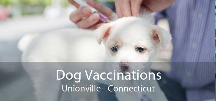 Dog Vaccinations Unionville - Connecticut