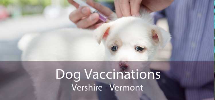 Dog Vaccinations Vershire - Vermont
