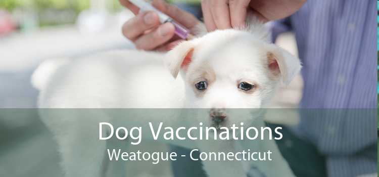 Dog Vaccinations Weatogue - Connecticut