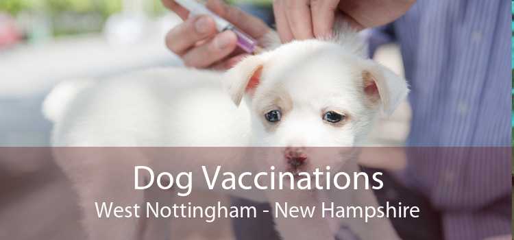 Dog Vaccinations West Nottingham - New Hampshire