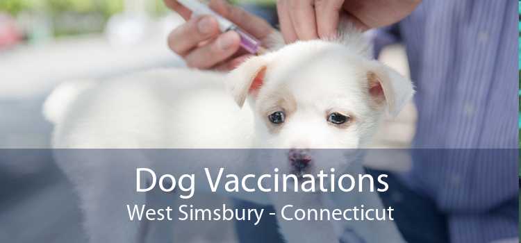 Dog Vaccinations West Simsbury - Connecticut