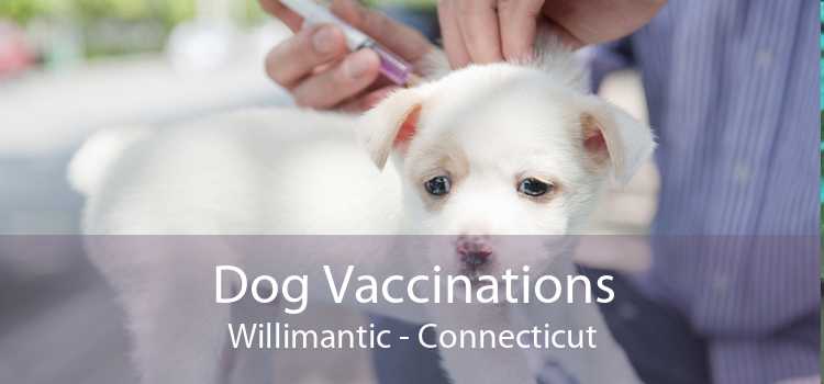 Dog Vaccinations Willimantic - Connecticut