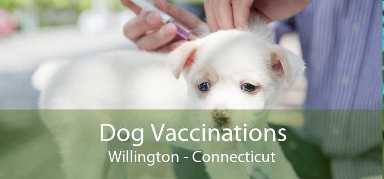 Dog Vaccinations Willington - Connecticut