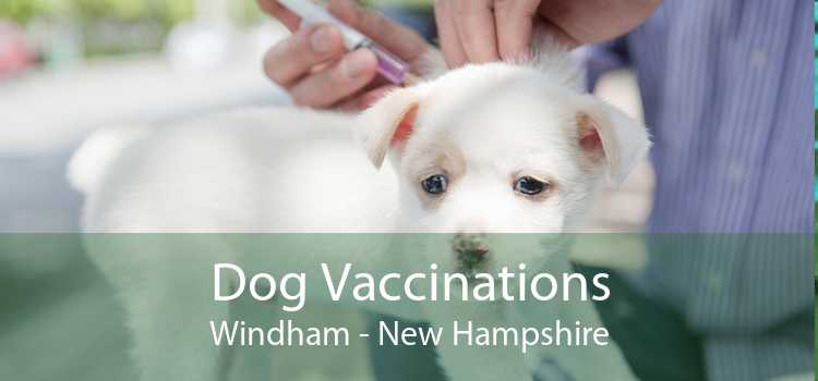 Dog Vaccinations Windham - New Hampshire