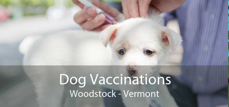 Dog Vaccinations Woodstock - Vermont