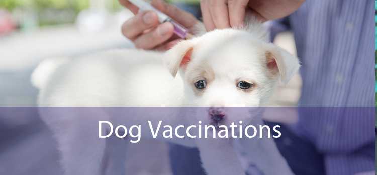 Dog Vaccinations 