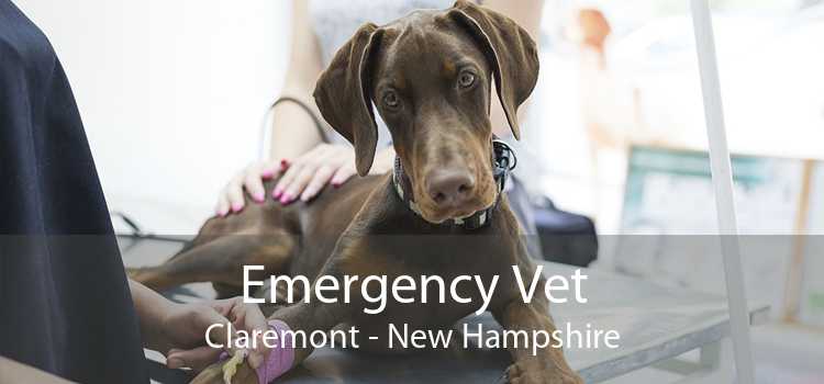 Emergency Vet Claremont - New Hampshire