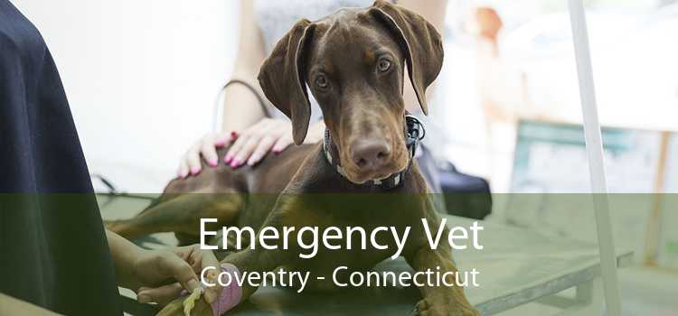 Emergency Vet Coventry - Connecticut