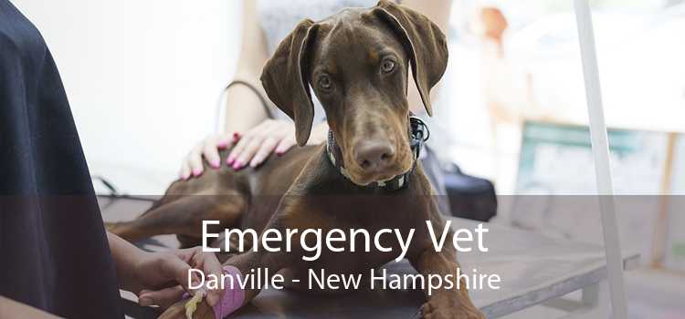 Emergency Vet Danville - New Hampshire