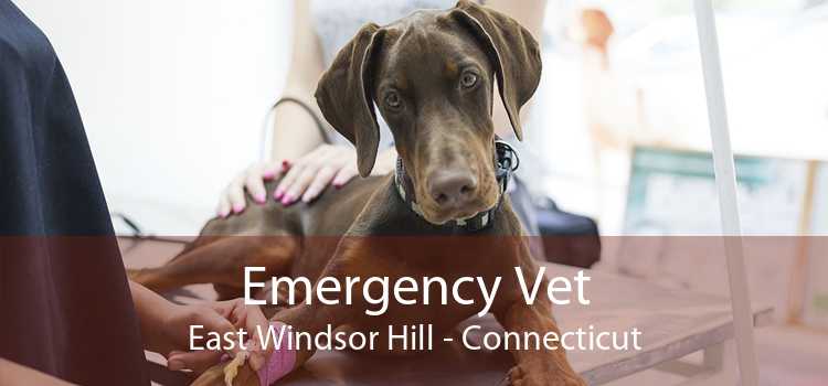 Emergency Vet East Windsor Hill - Connecticut