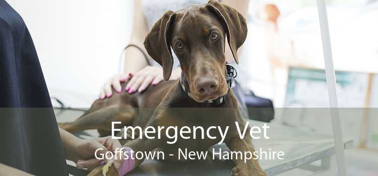 Emergency Vet Goffstown - New Hampshire