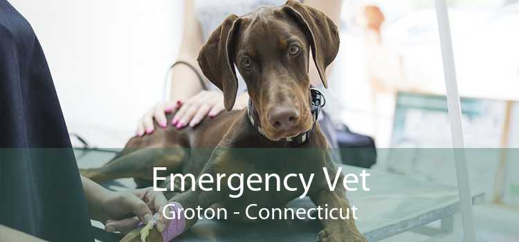 Emergency Vet Groton - Connecticut