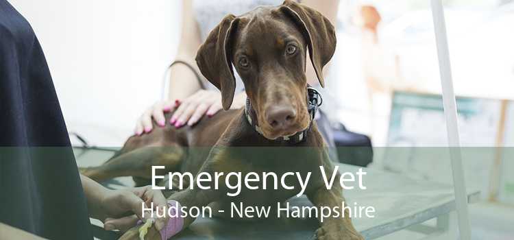 Emergency Vet Hudson - New Hampshire
