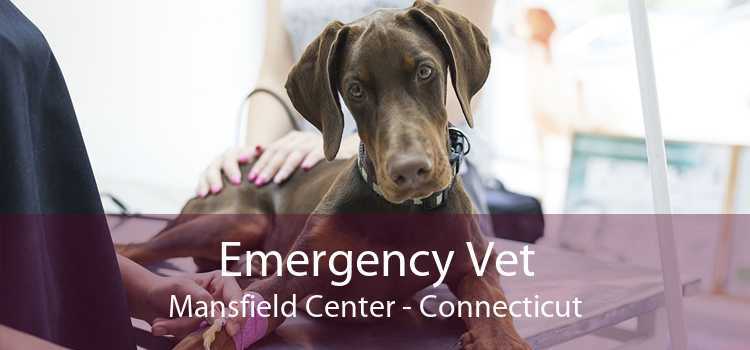 Emergency Vet Mansfield Center - Connecticut