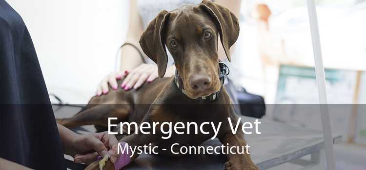 Emergency Vet Mystic - Connecticut
