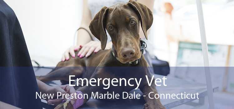Emergency Vet New Preston Marble Dale - Connecticut