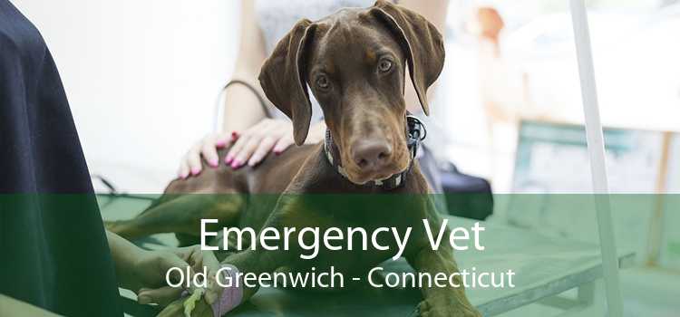 Emergency Vet Old Greenwich - Connecticut