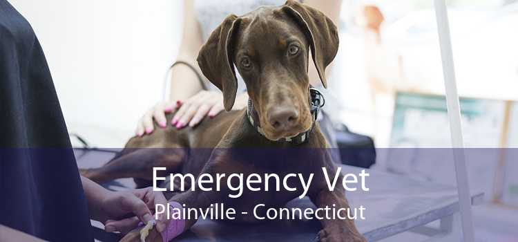 Emergency Vet Plainville - Connecticut
