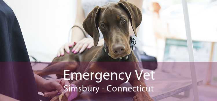 Emergency Vet Simsbury - Connecticut