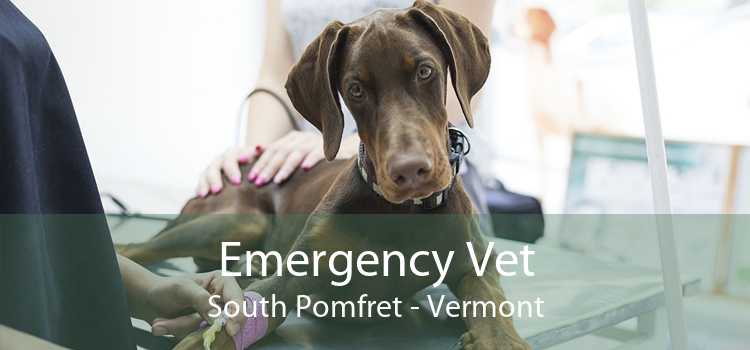 Emergency Vet South Pomfret - Vermont