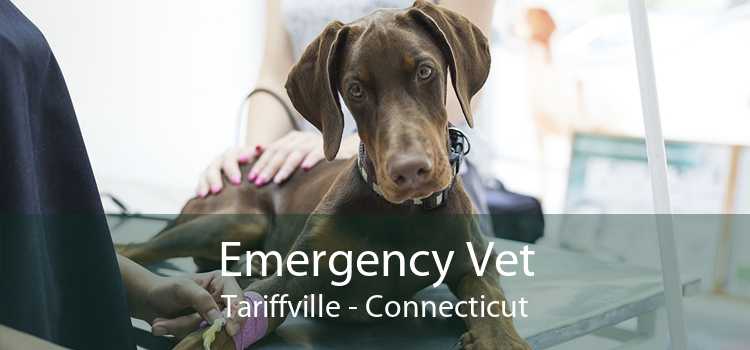 Emergency Vet Tariffville - Connecticut