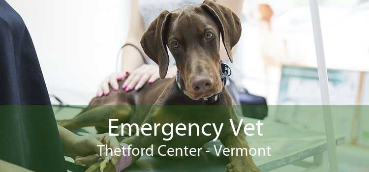 Emergency Vet Thetford Center - Vermont