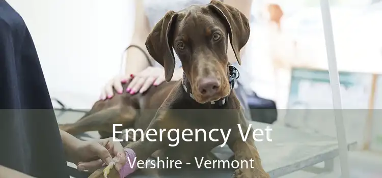 Emergency Vet Vershire - Vermont