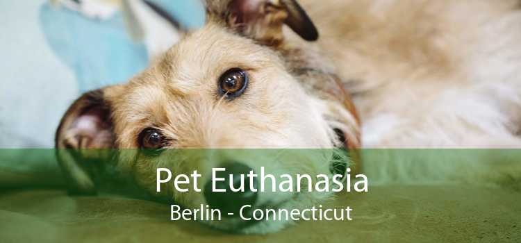 Pet Euthanasia Berlin - Connecticut