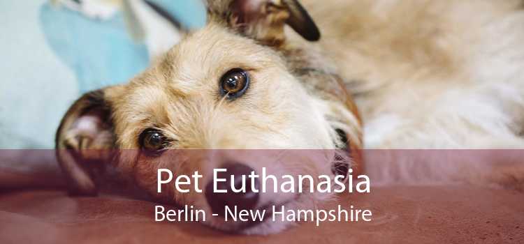 Pet Euthanasia Berlin - New Hampshire