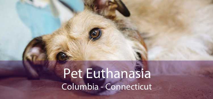 Pet Euthanasia Columbia - Connecticut